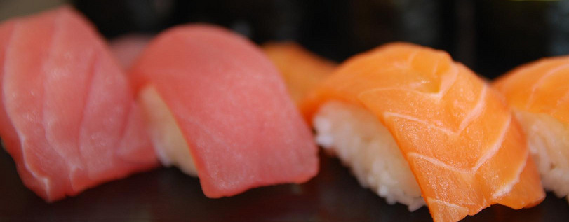 Salmon close-up - Nigiri Sushi, Hosomaki - Uta Sushi Bar